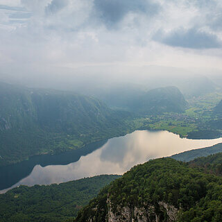 Bohinj - Vogel